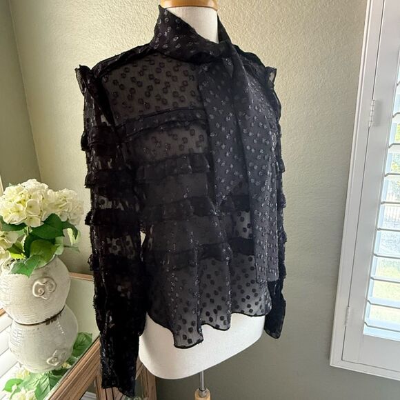 Isabel Marant Tops - NWT Isabel Marant Womens Ruffle Sheer Fluffy Dots Long Sleeve Blouse Black Sz 36
